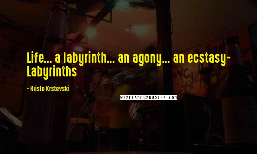 Hristo Krstevski Quotes: Life... a labyrinth... an agony... an ecstasy- Labyrinths