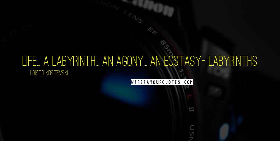 Hristo Krstevski Quotes: Life... a labyrinth... an agony... an ecstasy- Labyrinths