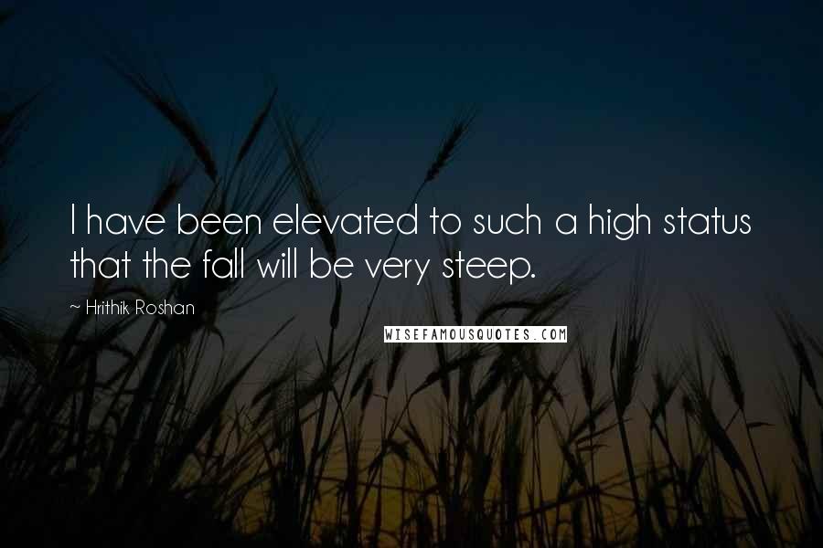 Hrithik Roshan Quotes: I have been elevated to such a high status that the fall will be very steep.