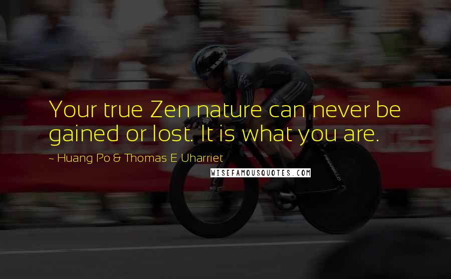 Huang Po & Thomas E Uharriet Quotes: Your true Zen nature can never be gained or lost. It is what you are.
