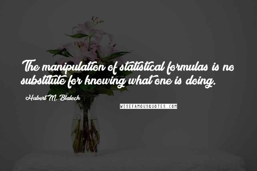 Hubert M. Blalock Quotes: The manipulation of statistical formulas is no substitute for knowing what one is doing.