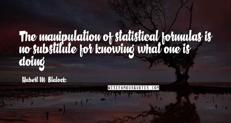 Hubert M. Blalock Quotes: The manipulation of statistical formulas is no substitute for knowing what one is doing.