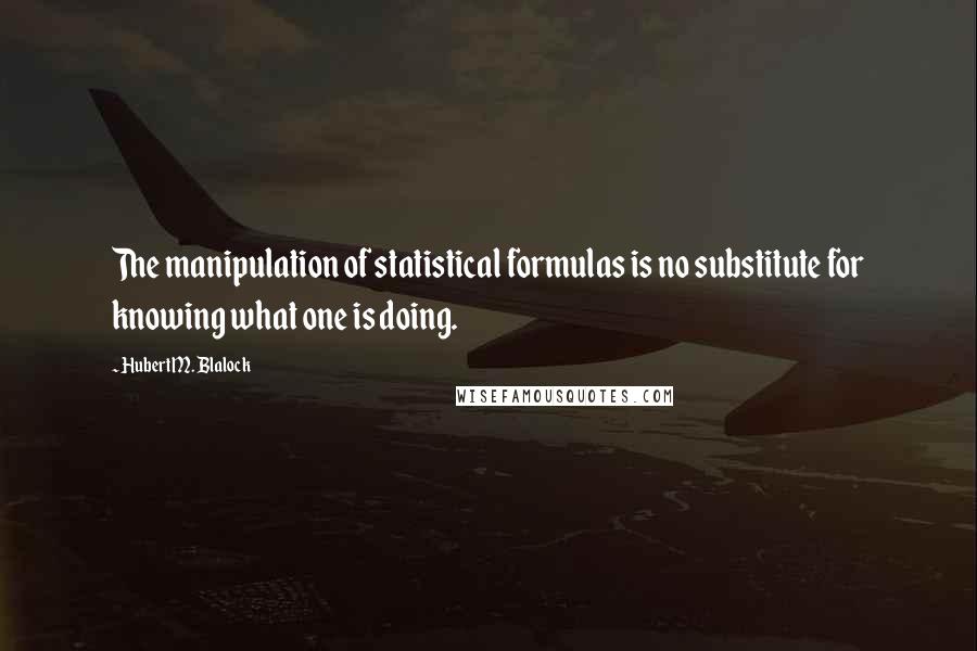 Hubert M. Blalock Quotes: The manipulation of statistical formulas is no substitute for knowing what one is doing.