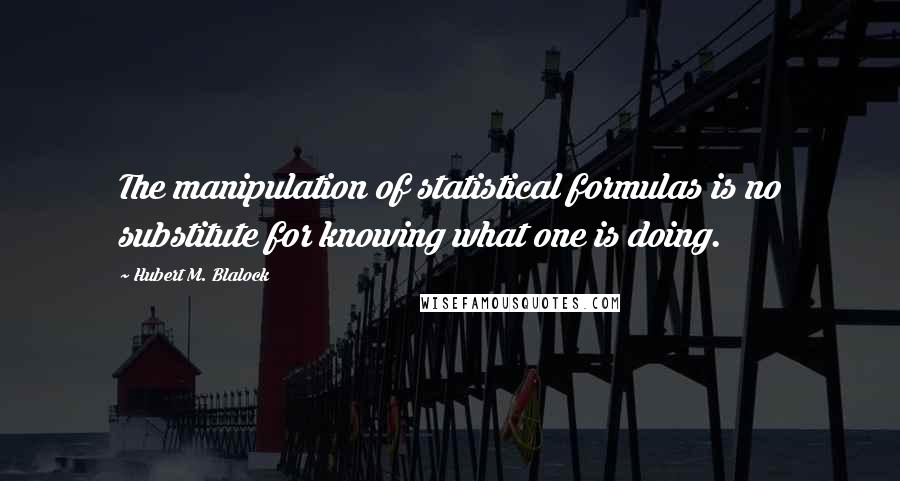 Hubert M. Blalock Quotes: The manipulation of statistical formulas is no substitute for knowing what one is doing.