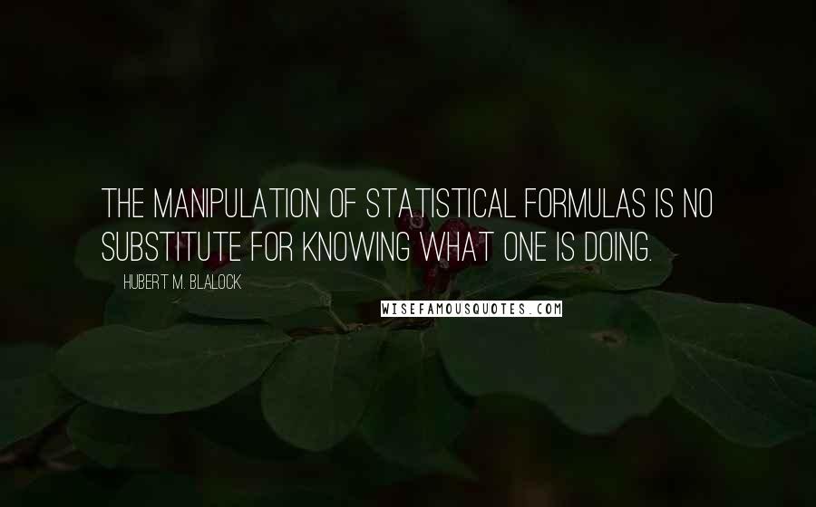 Hubert M. Blalock Quotes: The manipulation of statistical formulas is no substitute for knowing what one is doing.