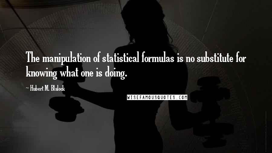 Hubert M. Blalock Quotes: The manipulation of statistical formulas is no substitute for knowing what one is doing.