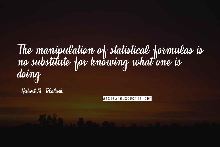 Hubert M. Blalock Quotes: The manipulation of statistical formulas is no substitute for knowing what one is doing.