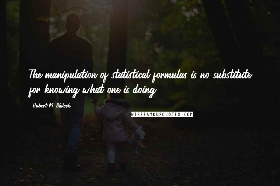 Hubert M. Blalock Quotes: The manipulation of statistical formulas is no substitute for knowing what one is doing.