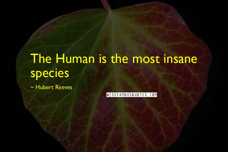 Hubert Reeves Quotes: The Human is the most insane species
