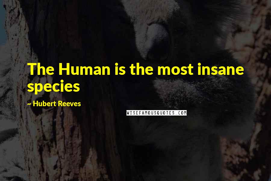 Hubert Reeves Quotes: The Human is the most insane species