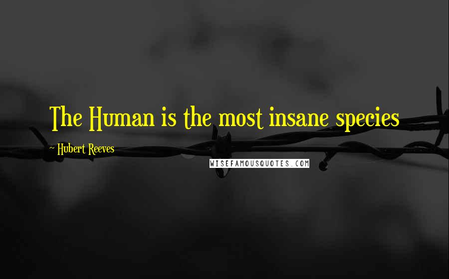 Hubert Reeves Quotes: The Human is the most insane species