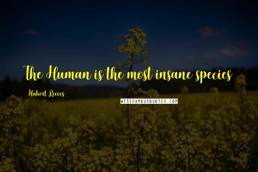 Hubert Reeves Quotes: The Human is the most insane species