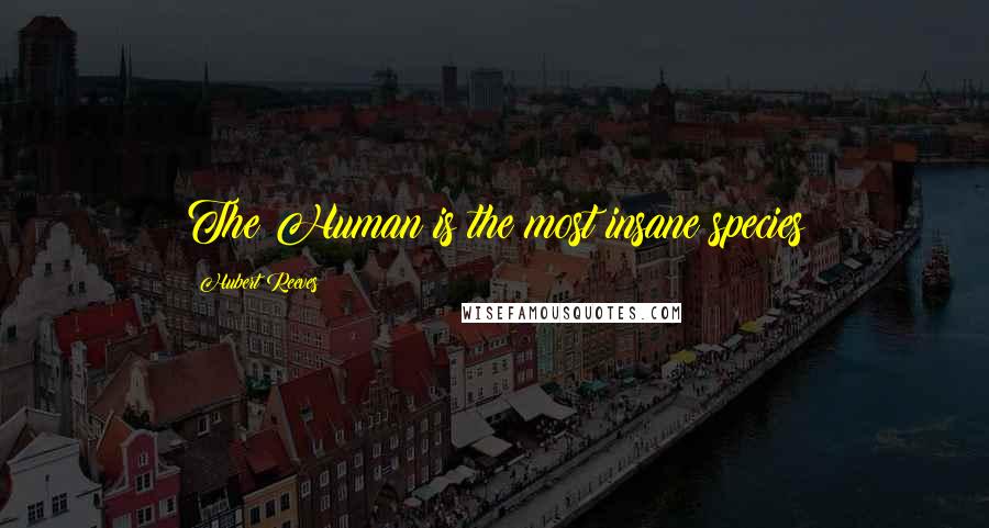 Hubert Reeves Quotes: The Human is the most insane species
