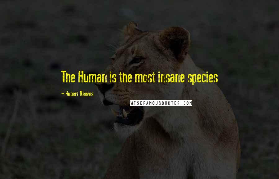 Hubert Reeves Quotes: The Human is the most insane species