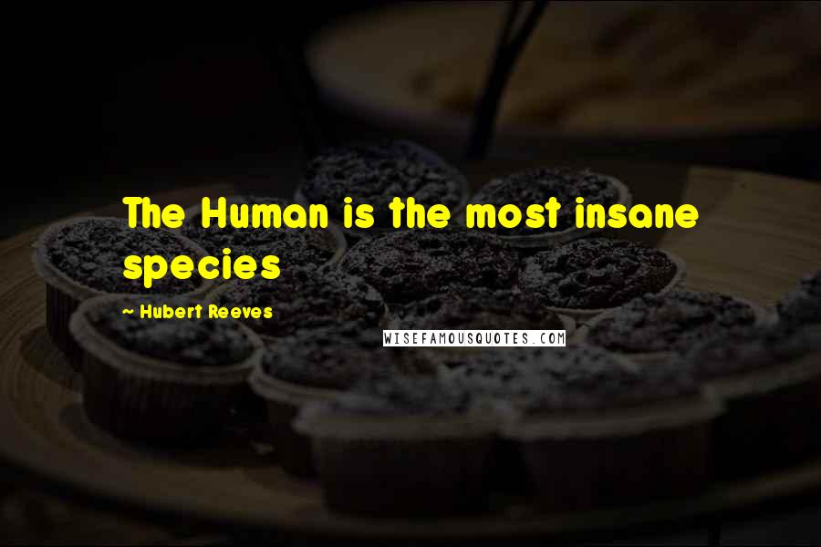 Hubert Reeves Quotes: The Human is the most insane species