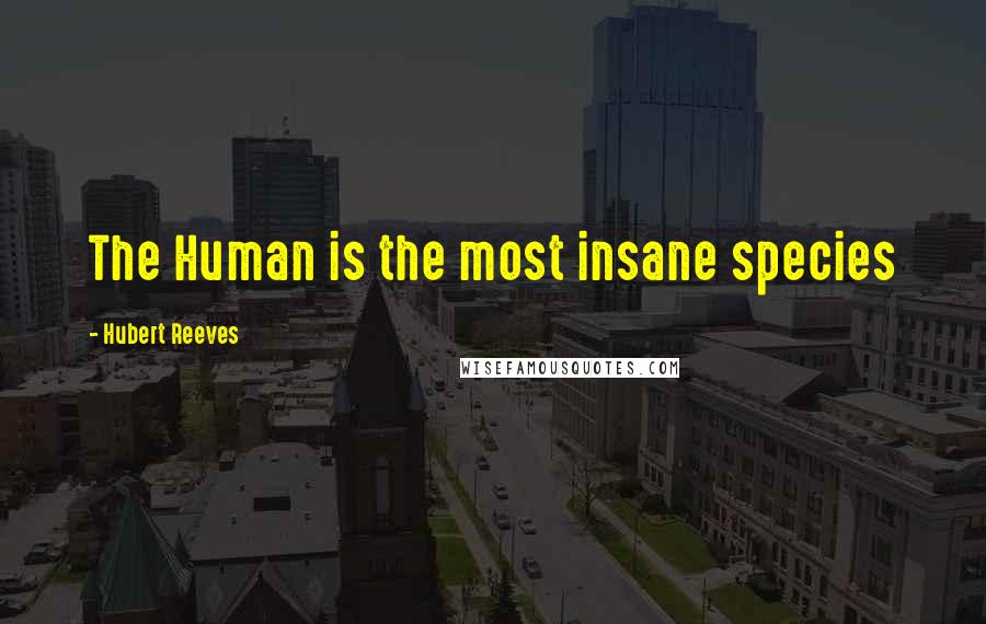 Hubert Reeves Quotes: The Human is the most insane species