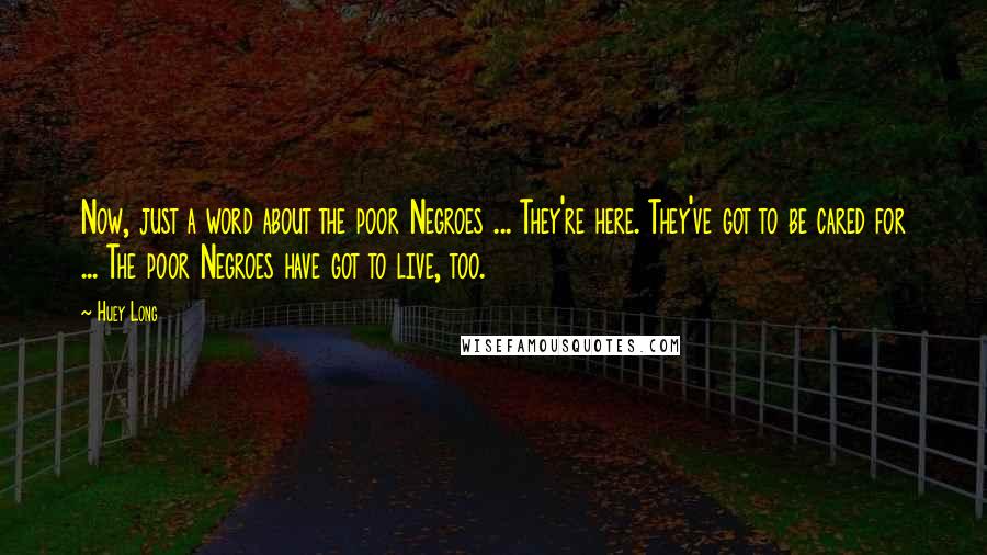 Huey Long Quotes: Now, just a word about the poor Negroes ... They're here. They've got to be cared for ... The poor Negroes have got to live, too.