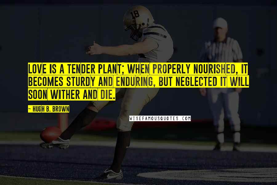 Hugh B. Brown Quotes: Love is a tender plant; when properly nourished, it becomes sturdy and enduring, but neglected it will soon wither and die.