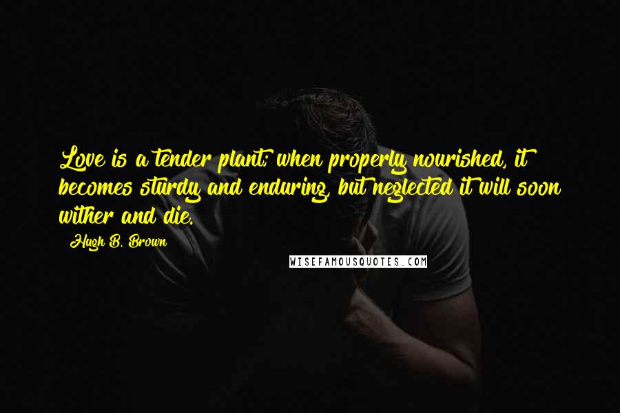 Hugh B. Brown Quotes: Love is a tender plant; when properly nourished, it becomes sturdy and enduring, but neglected it will soon wither and die.