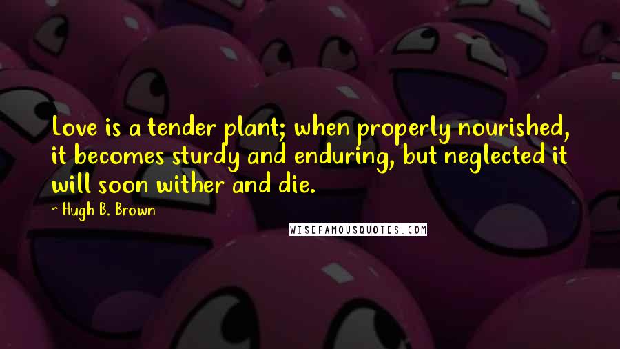 Hugh B. Brown Quotes: Love is a tender plant; when properly nourished, it becomes sturdy and enduring, but neglected it will soon wither and die.