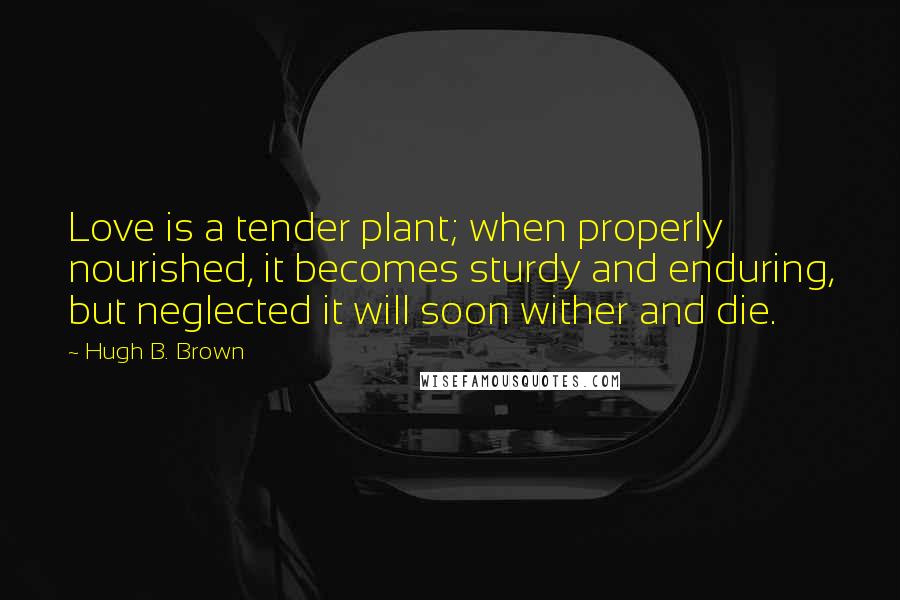 Hugh B. Brown Quotes: Love is a tender plant; when properly nourished, it becomes sturdy and enduring, but neglected it will soon wither and die.