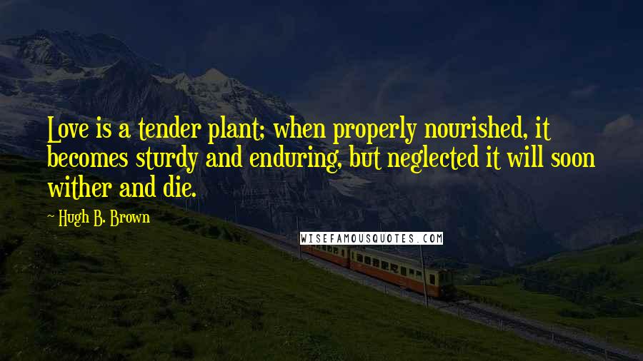 Hugh B. Brown Quotes: Love is a tender plant; when properly nourished, it becomes sturdy and enduring, but neglected it will soon wither and die.