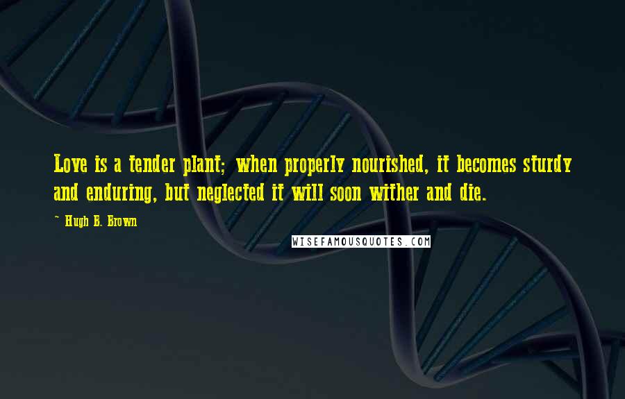 Hugh B. Brown Quotes: Love is a tender plant; when properly nourished, it becomes sturdy and enduring, but neglected it will soon wither and die.