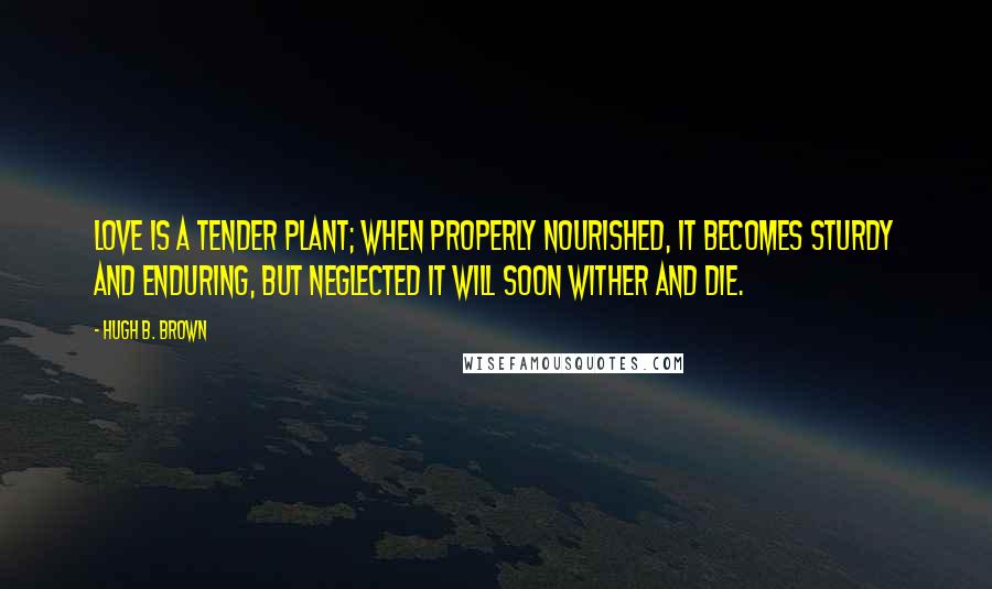 Hugh B. Brown Quotes: Love is a tender plant; when properly nourished, it becomes sturdy and enduring, but neglected it will soon wither and die.