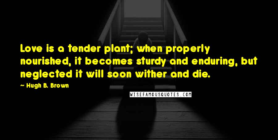 Hugh B. Brown Quotes: Love is a tender plant; when properly nourished, it becomes sturdy and enduring, but neglected it will soon wither and die.