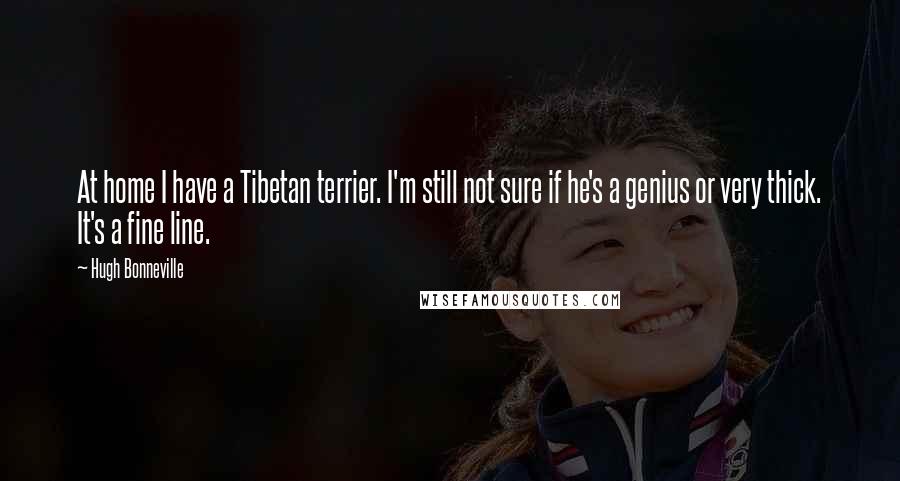 Hugh Bonneville Quotes: At home I have a Tibetan terrier. I'm still not sure if he's a genius or very thick. It's a fine line.