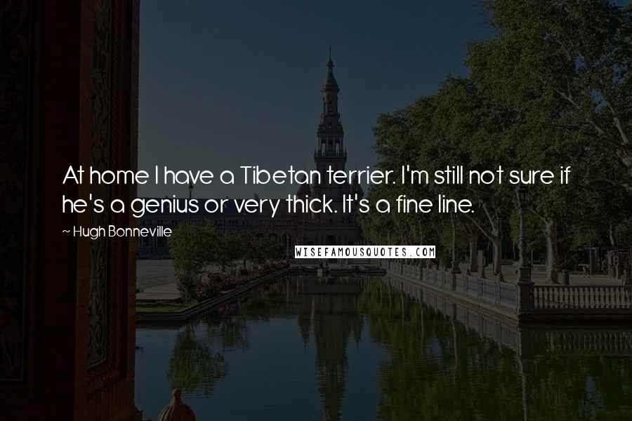 Hugh Bonneville Quotes: At home I have a Tibetan terrier. I'm still not sure if he's a genius or very thick. It's a fine line.