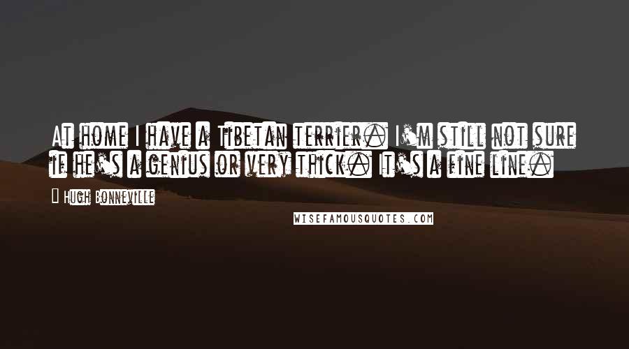 Hugh Bonneville Quotes: At home I have a Tibetan terrier. I'm still not sure if he's a genius or very thick. It's a fine line.