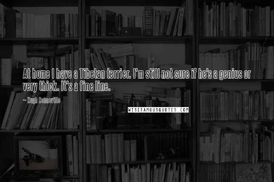 Hugh Bonneville Quotes: At home I have a Tibetan terrier. I'm still not sure if he's a genius or very thick. It's a fine line.