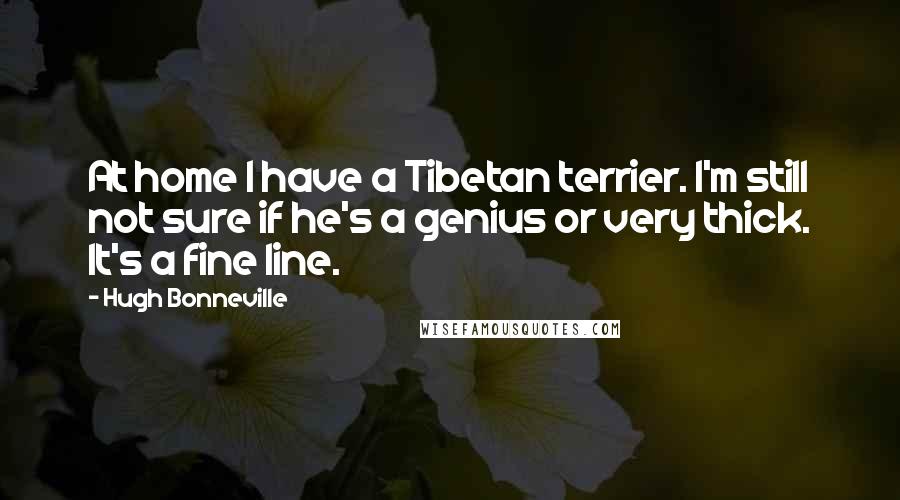 Hugh Bonneville Quotes: At home I have a Tibetan terrier. I'm still not sure if he's a genius or very thick. It's a fine line.