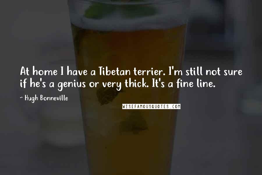 Hugh Bonneville Quotes: At home I have a Tibetan terrier. I'm still not sure if he's a genius or very thick. It's a fine line.