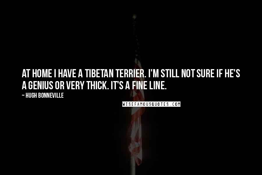 Hugh Bonneville Quotes: At home I have a Tibetan terrier. I'm still not sure if he's a genius or very thick. It's a fine line.