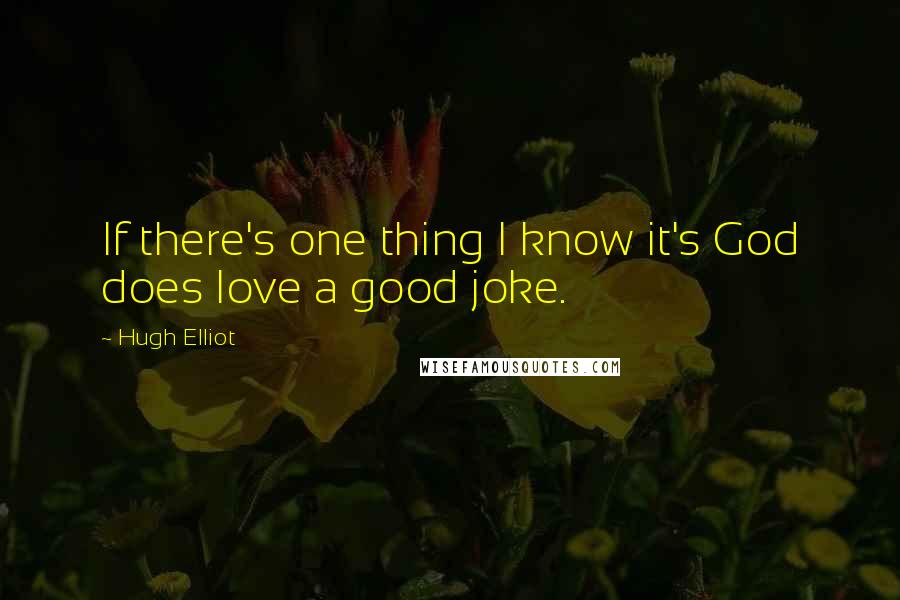 Hugh Elliot Quotes: If there's one thing I know it's God does love a good joke.