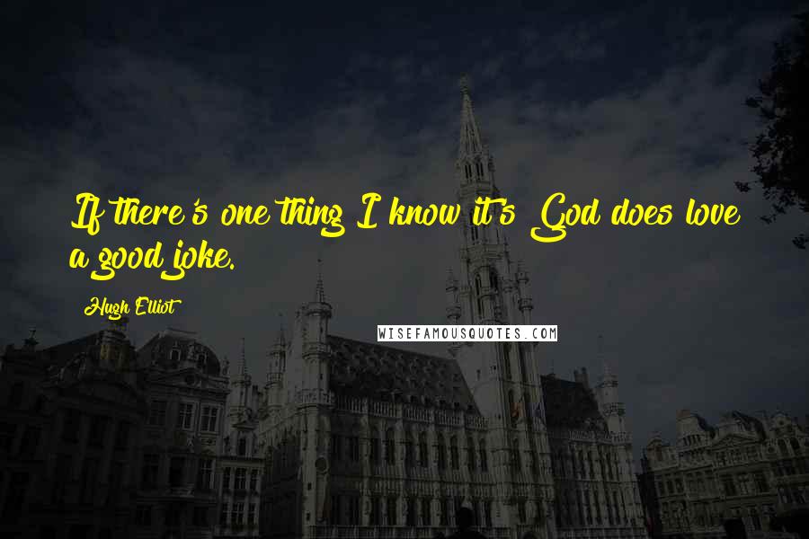 Hugh Elliot Quotes: If there's one thing I know it's God does love a good joke.