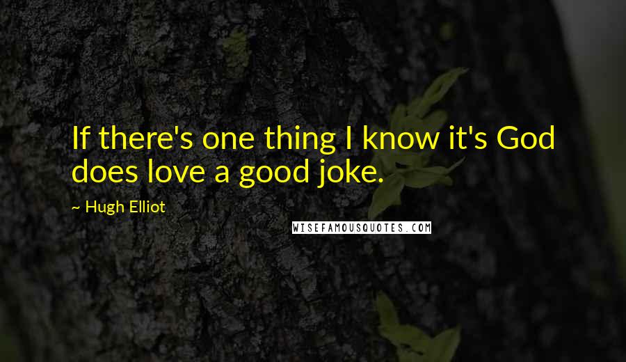 Hugh Elliot Quotes: If there's one thing I know it's God does love a good joke.