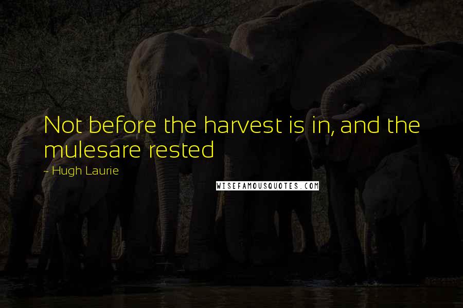 Hugh Laurie Quotes: Not before the harvest is in, and the mulesare rested