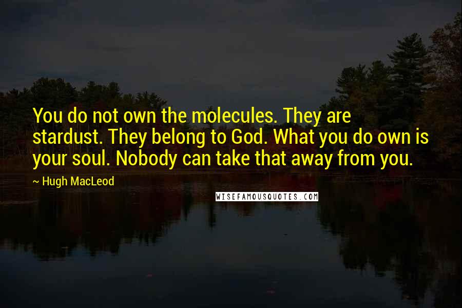 Hugh MacLeod Quotes: You do not own the molecules. They are stardust. They belong to God. What you do own is your soul. Nobody can take that away from you.