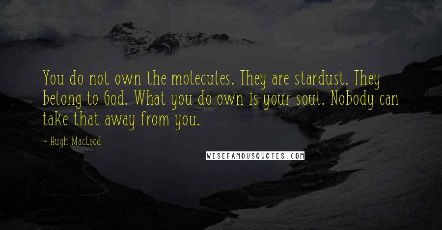 Hugh MacLeod Quotes: You do not own the molecules. They are stardust. They belong to God. What you do own is your soul. Nobody can take that away from you.