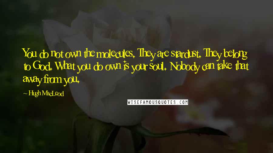 Hugh MacLeod Quotes: You do not own the molecules. They are stardust. They belong to God. What you do own is your soul. Nobody can take that away from you.