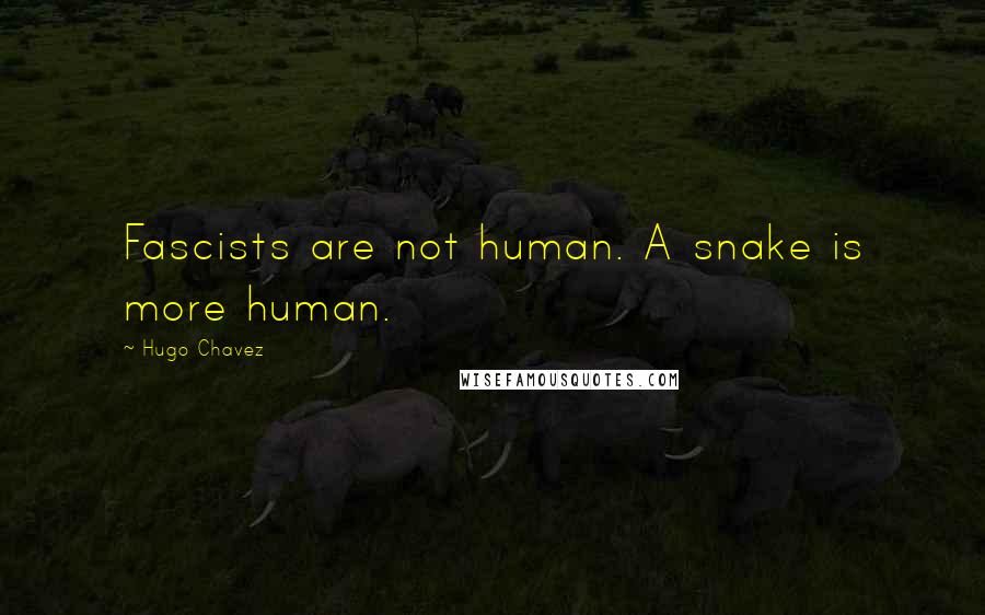 Hugo Chavez Quotes: Fascists are not human. A snake is more human.