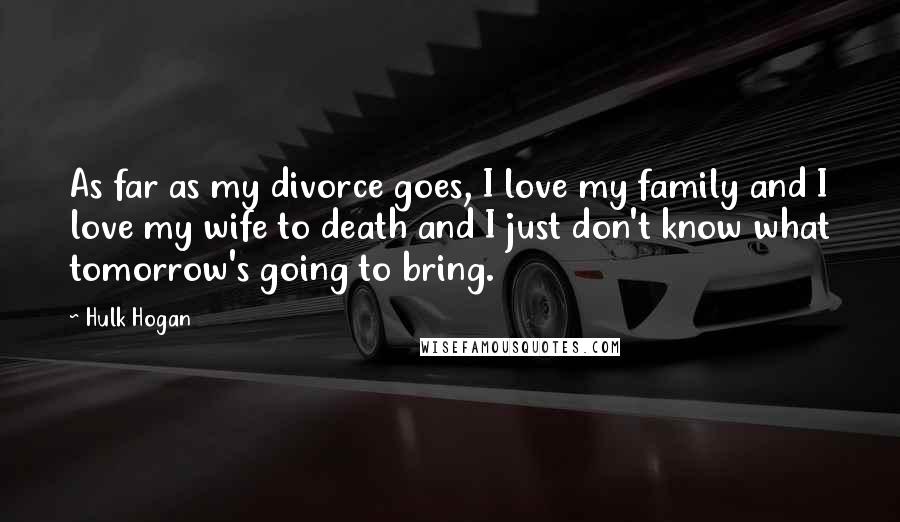 Hulk Hogan Quotes: As far as my divorce goes, I love my family and I love my wife to death and I just don't know what tomorrow's going to bring.