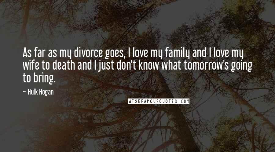 Hulk Hogan Quotes: As far as my divorce goes, I love my family and I love my wife to death and I just don't know what tomorrow's going to bring.