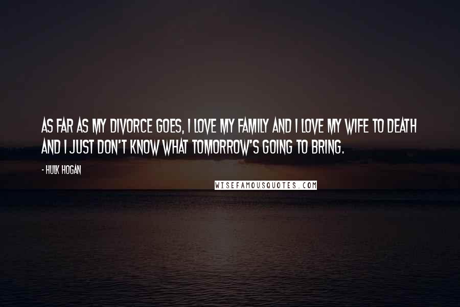 Hulk Hogan Quotes: As far as my divorce goes, I love my family and I love my wife to death and I just don't know what tomorrow's going to bring.