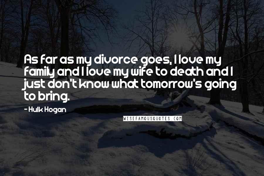 Hulk Hogan Quotes: As far as my divorce goes, I love my family and I love my wife to death and I just don't know what tomorrow's going to bring.