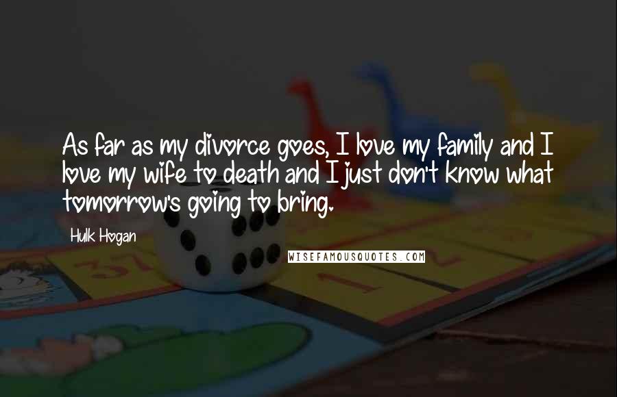 Hulk Hogan Quotes: As far as my divorce goes, I love my family and I love my wife to death and I just don't know what tomorrow's going to bring.