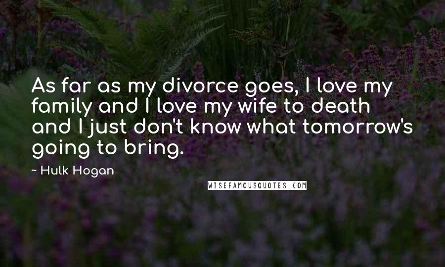 Hulk Hogan Quotes: As far as my divorce goes, I love my family and I love my wife to death and I just don't know what tomorrow's going to bring.